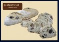 /album/fotogalerij-biologisch-regionaal-assortiment/bio-olijven-brood-C-logo-jpg/